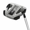 TaylorMade Spider Ex #9 Flow Neck Platinum White